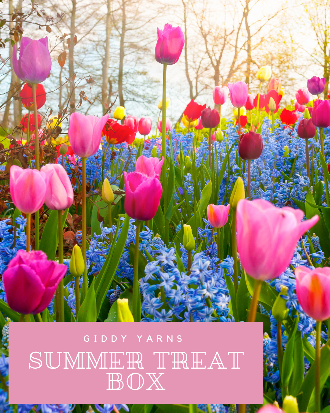 Summer Treat Box - PREORDER