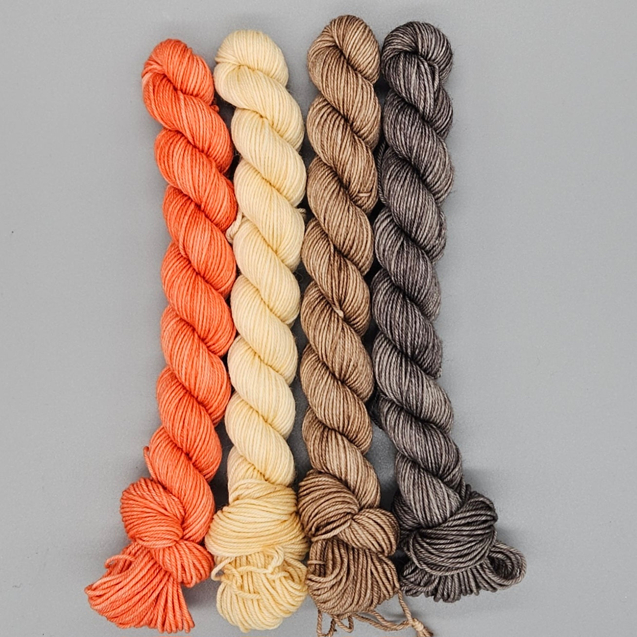 Agaric Gnome Kit