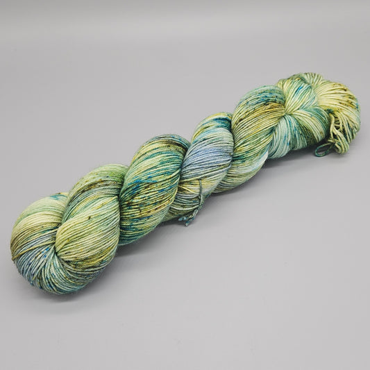 DYED TO ORDER - Great A'Tuin