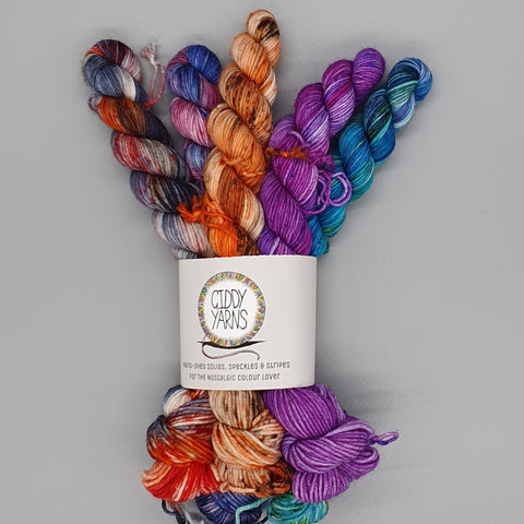 Variagated Mini Sets - Merino/Nylon