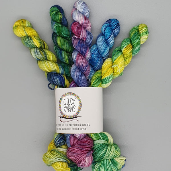 Variagated Mini Sets - Merino/Nylon