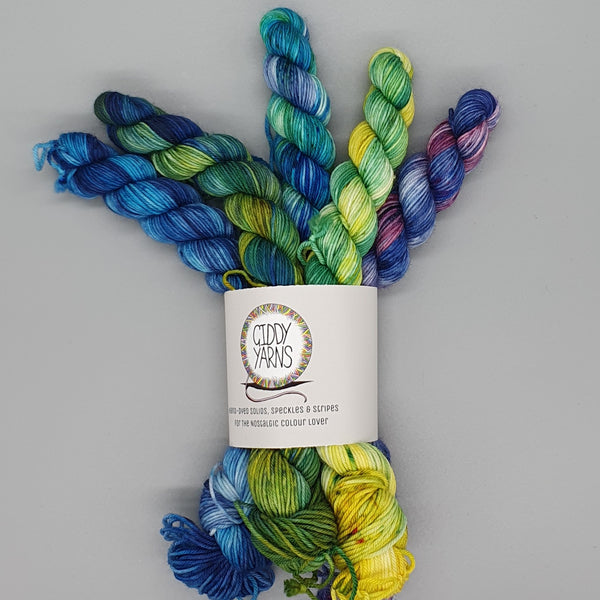 Variagated Mini Sets - Merino/Nylon