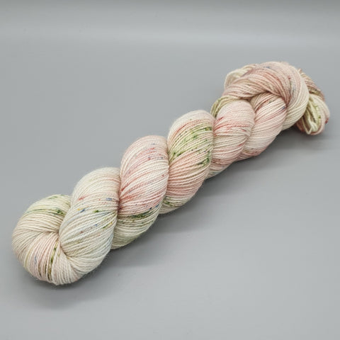 The Tale Of Jemima Puddle-Duck - BFL Nylon 4ply