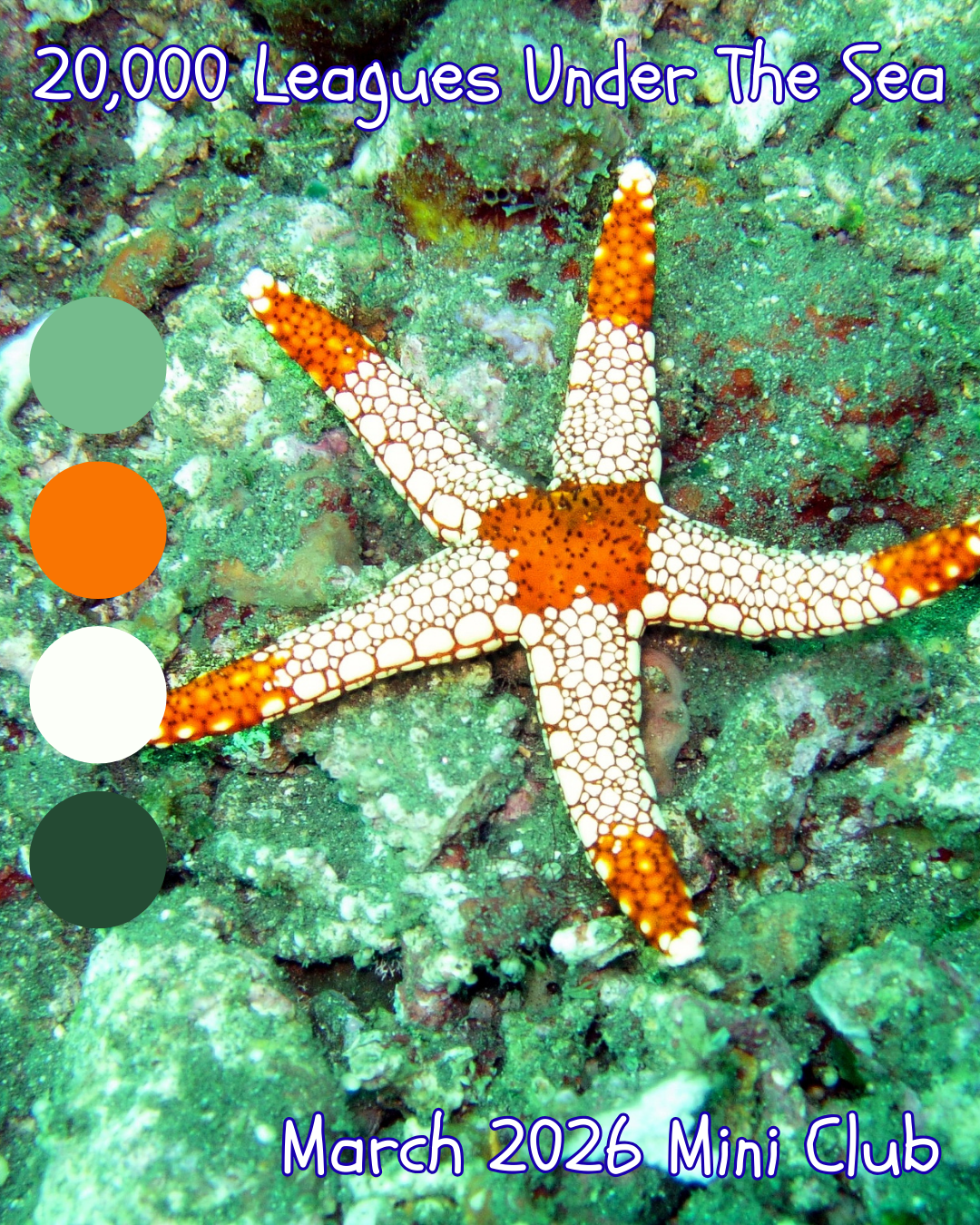 20,000 Leagues Under the Sea Mini Club - Quarterly