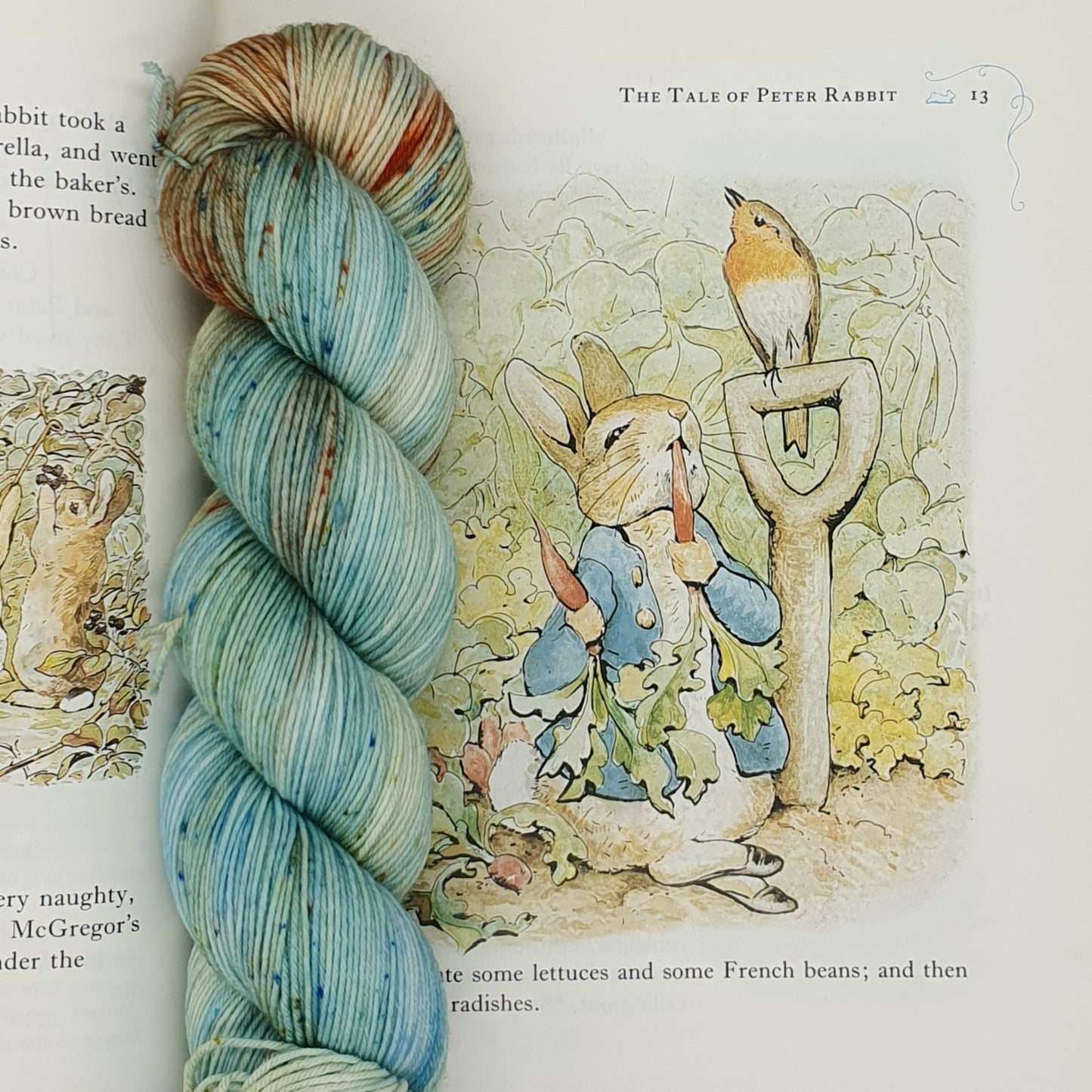 DYED TO ORDER - The Tale Of Peter Rabbit