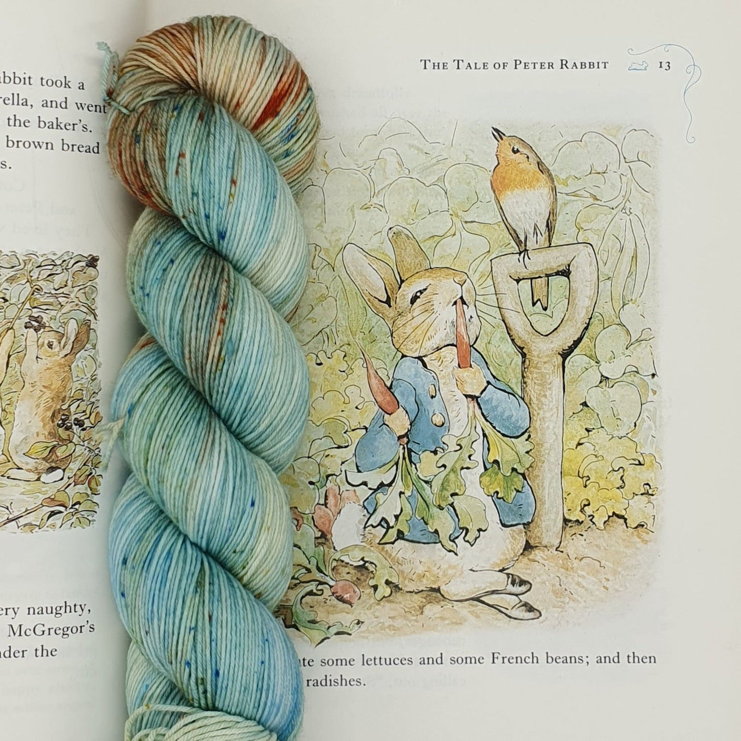 The Tale Of Peter Rabbit - Merino Nylon 4ply