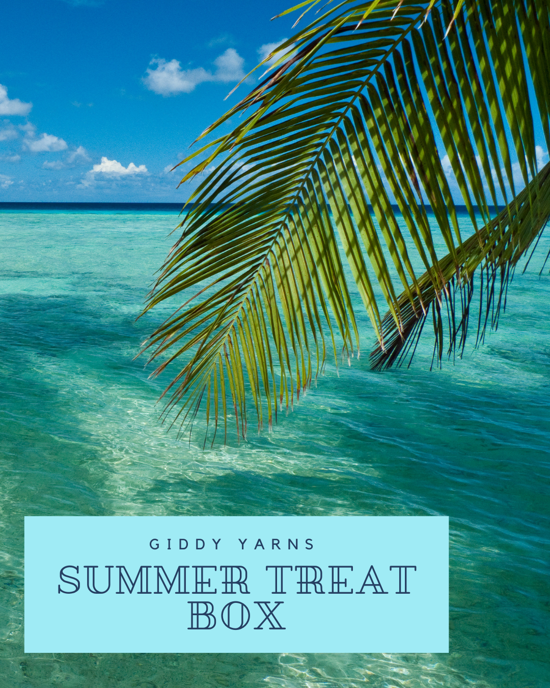 Summer Treat Box - PREORDER – Giddy Yarns