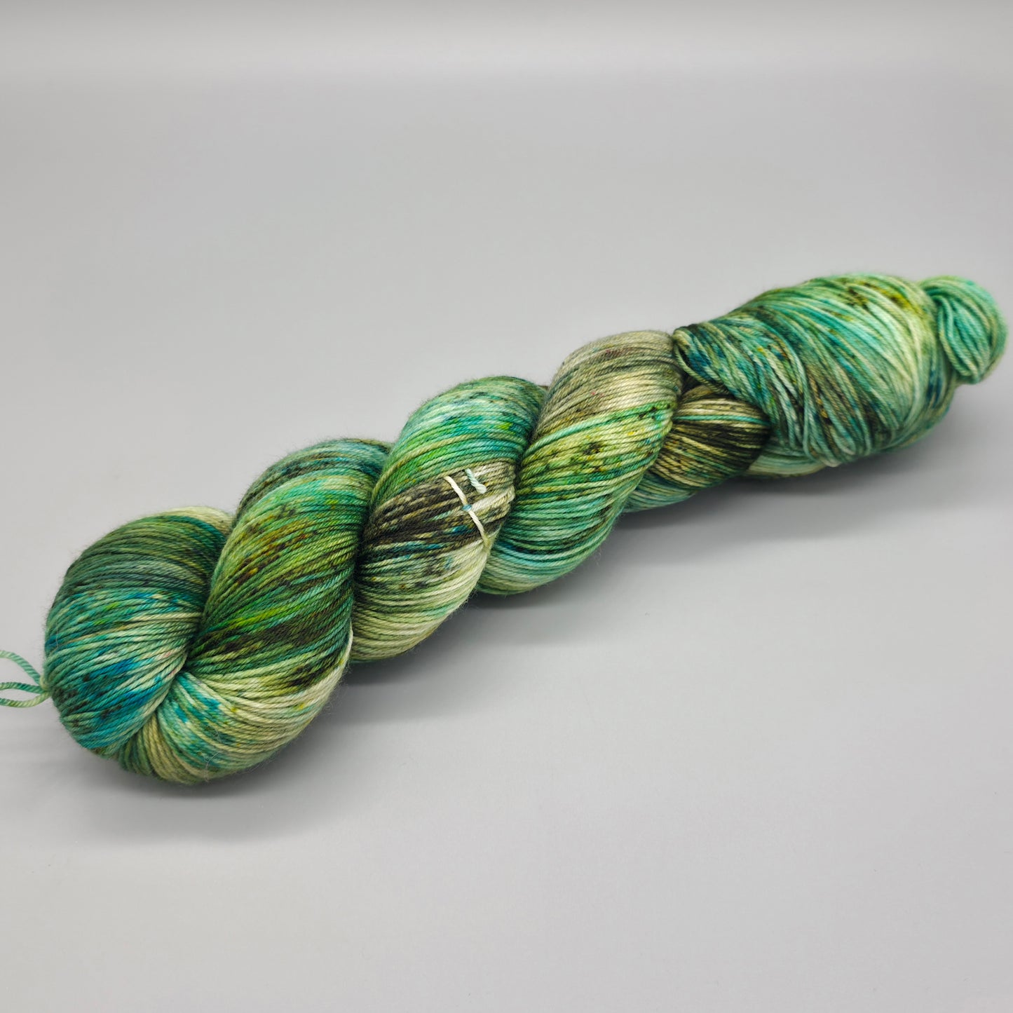We Call Him Tortoise - Merino Nylon 4ply