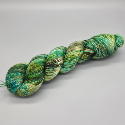 We Call Him Tortoise - Merino Nylon 4ply