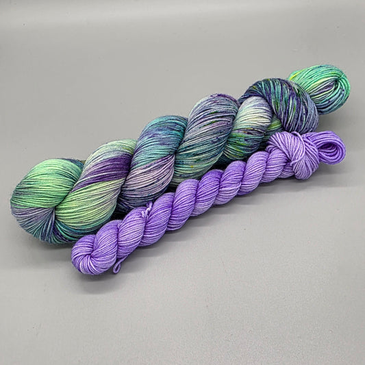 Ocatarine - Sock Set