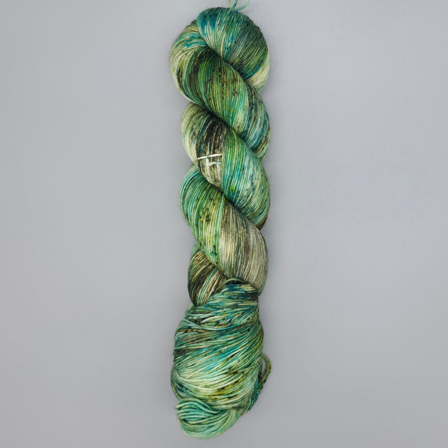 We Call Him Tortoise - Merino Nylon 4ply