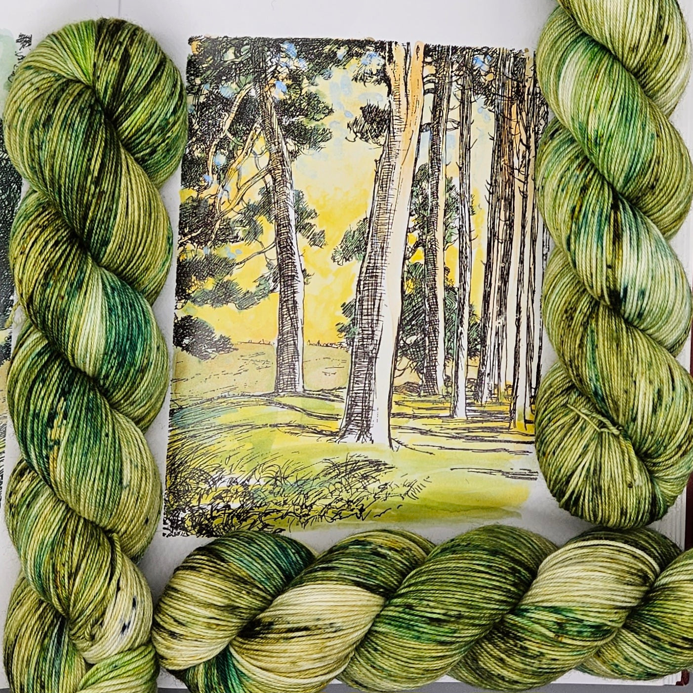 Hundred Acre Wood - Merino Nylon 4ply