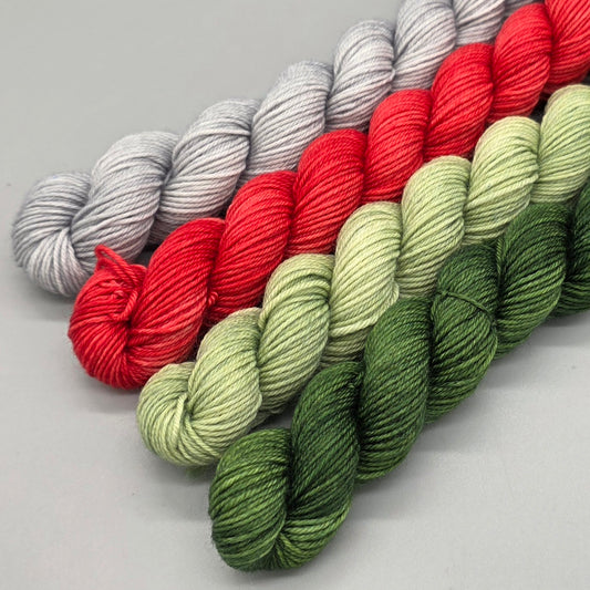 PREORDER - Holidays Gnome Kit - Dec 2025 Mystery Gnome