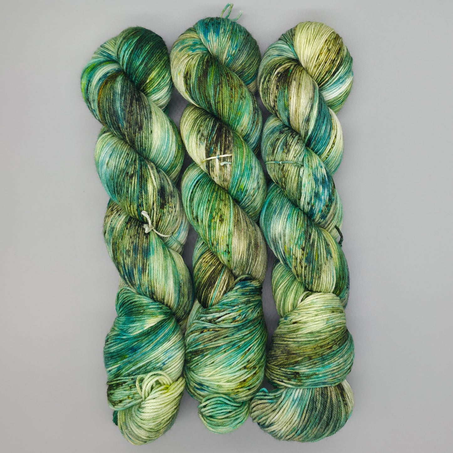 We Call Him Tortoise - Merino Nylon 4ply