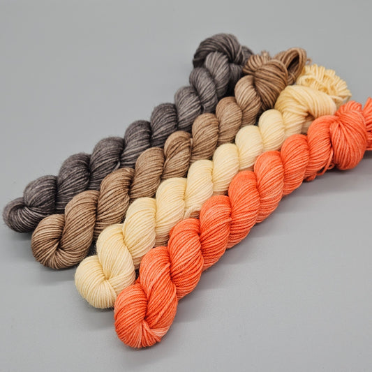 Agaric Gnome Kit - April Mystery Gnome
