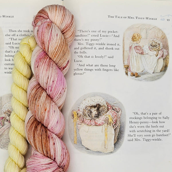 The Tale Of Mrs Tiggywinkle - Sock Set
