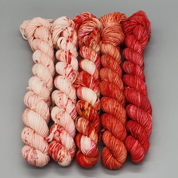 Red Mini Bundle - 4ply and DK