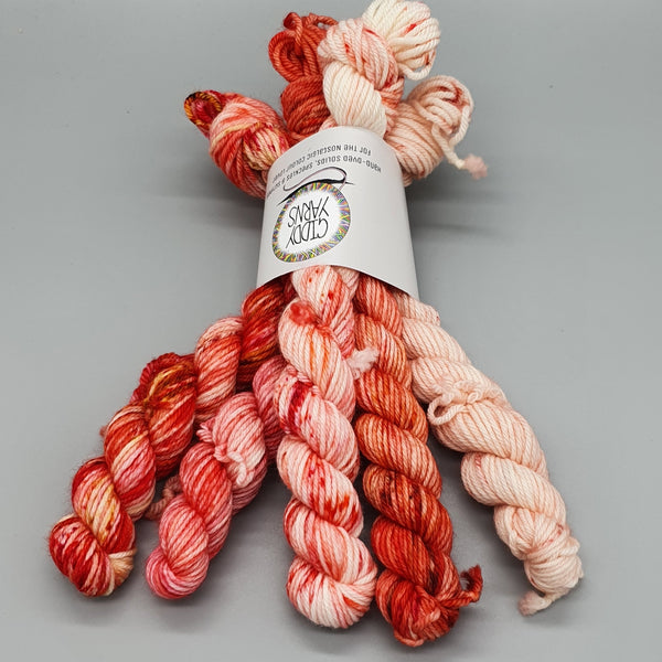 Red Mini Bundle - 4ply and DK